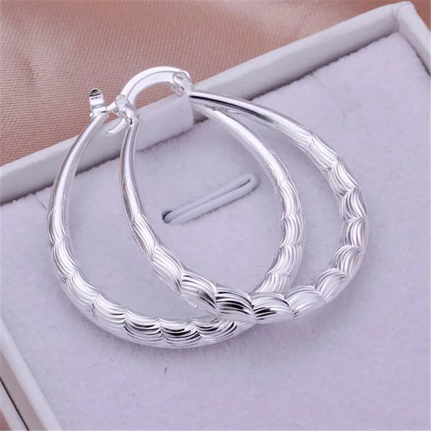 Elegant Silver Hoop Earrings